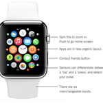 apple-watch-live-blog-thumbLarge